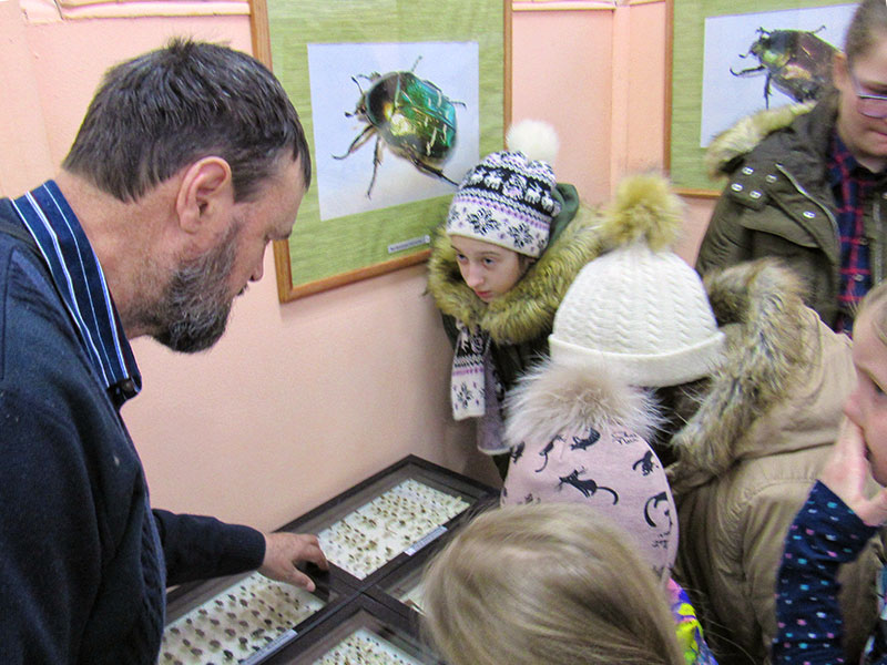 bronnici insects 2