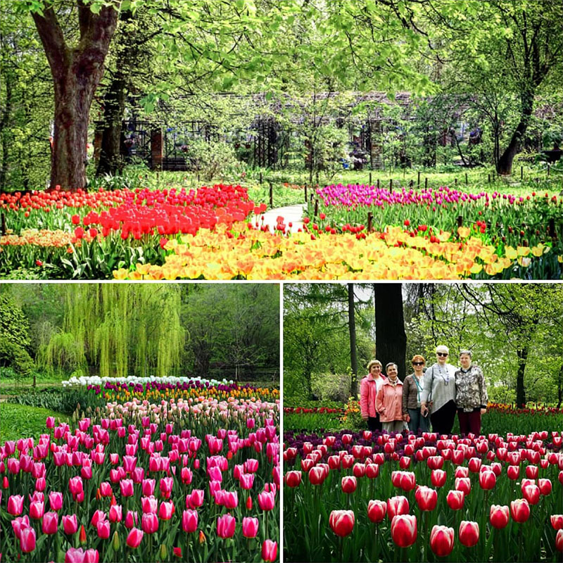 ivanteevka botanic 2021
