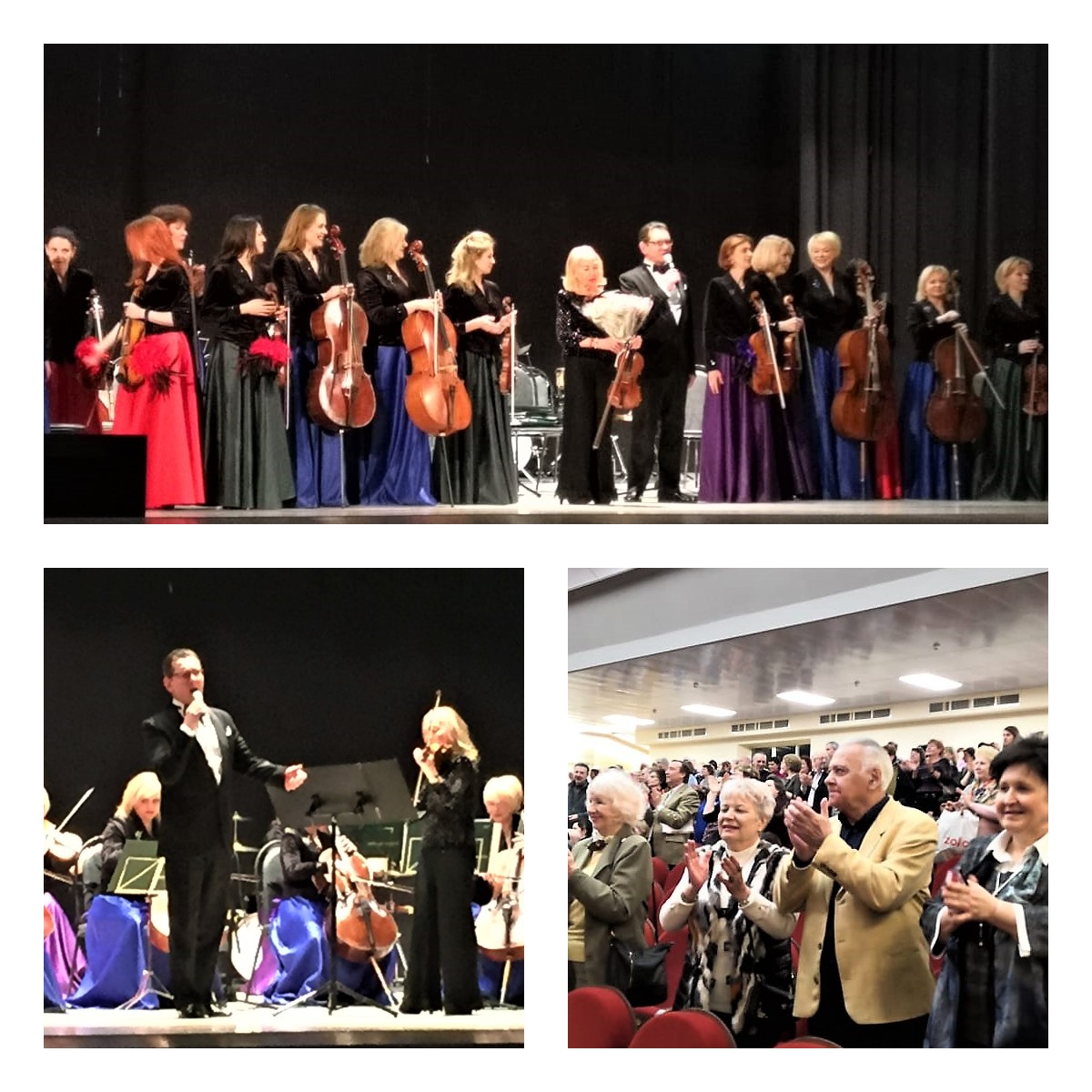 reutov vivaldi