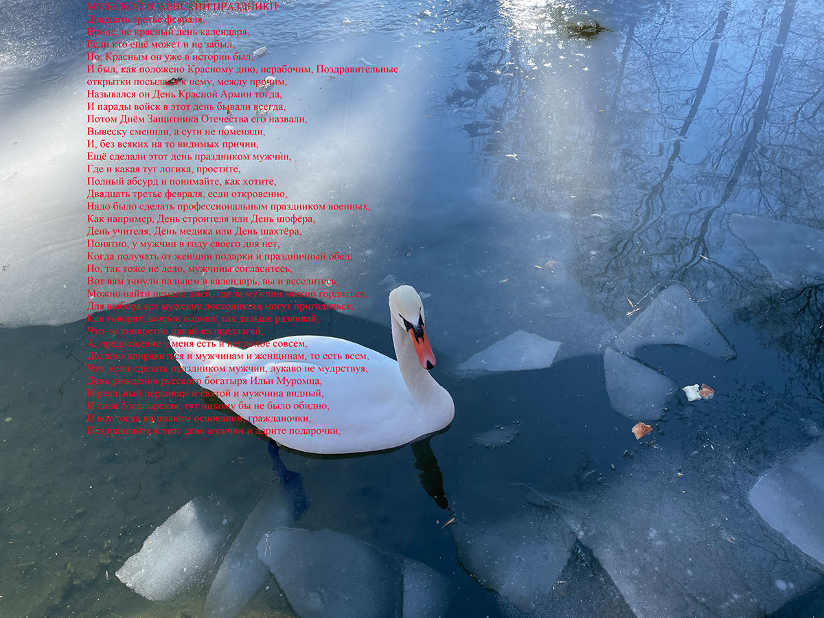 dubna fotokonkurs 23 feb