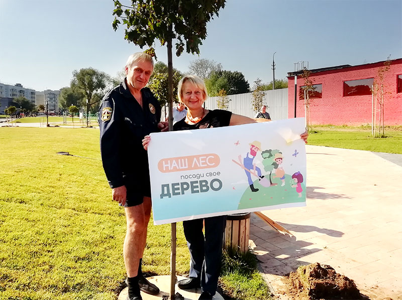 bronnici derevo 2018