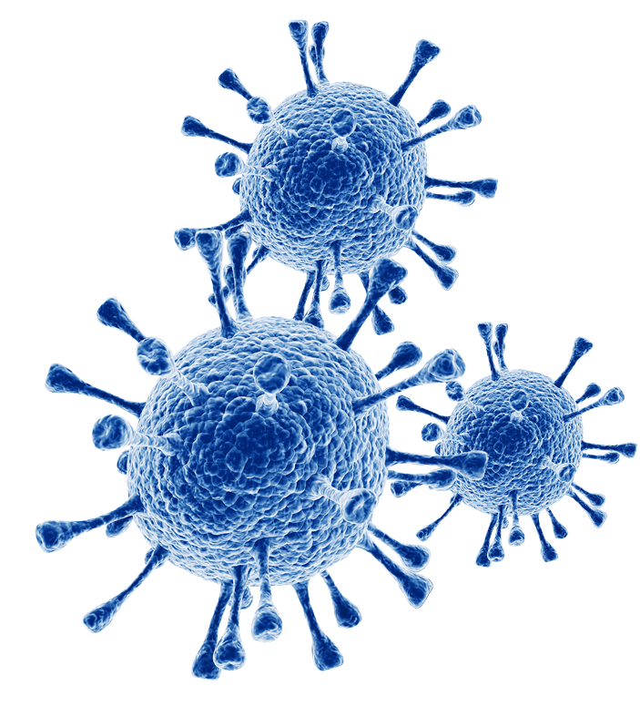 coronavirus