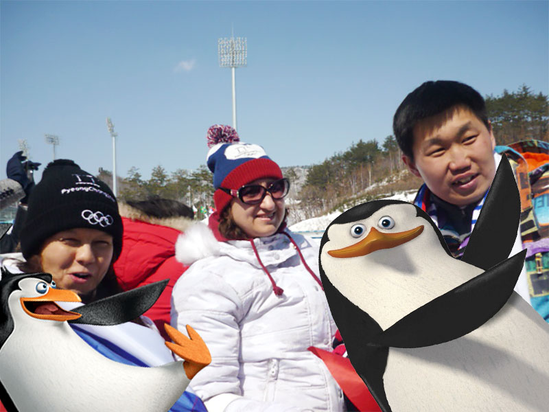 flag pinguin