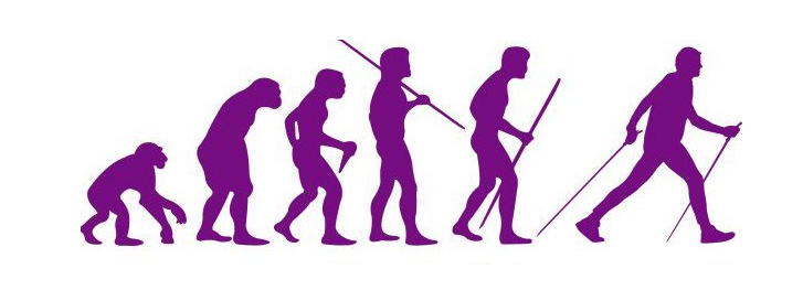 skand hodba evolution
