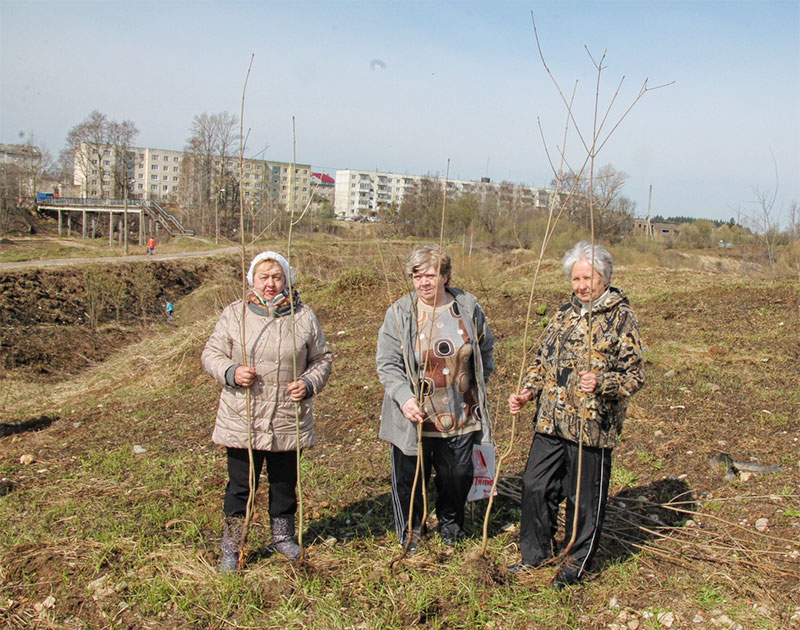 ruza vesna 2017 2