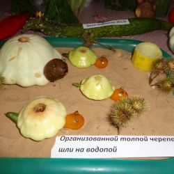 День урожая в Рошальской ГО ВОИ