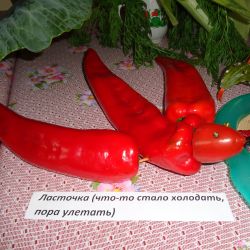 День урожая в Рошальской ГО ВОИ