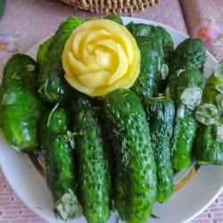 День урожая в Рошальской ГО ВОИ