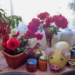 День урожая в Рошальской ГО ВОИ