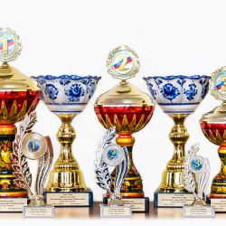 cups-2014