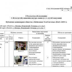 Паспорт доступности