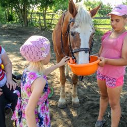 Инклюзивный лагерь в Раменском "Дети должны дружить"