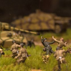 Марафон Победы
