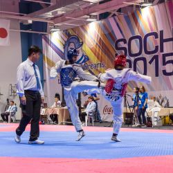 IWAS-2015