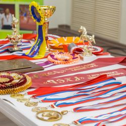 100 дней до Паралимпийских игр в Рио