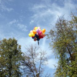 День Милосердия на Подольской земле