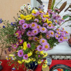 Железнодорожный - лето в банке