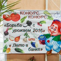 Железнодорожный - лето в банке
