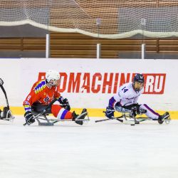 Подмосковный Феникс против сборной Кореи