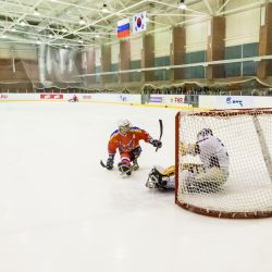Подмосковный Феникс против сборной Кореи