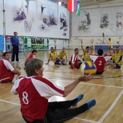 Фестиваль спорта среди инвалидов Московской области - 2013