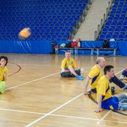 Фестиваль спорта среди инвалидов Московской области - 2016