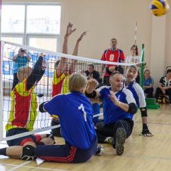Областной Фестиваль спорта по волейболу сидя среди инвалидов Московской области, посвящённый 30-летию ВОИ