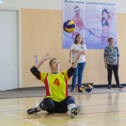 Областной Фестиваль спорта по волейболу сидя среди инвалидов Московской области, посвящённый 30-летию ВОИ
