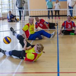 Областной Фестиваль спорта по волейболу сидя среди инвалидов Московской области, посвящённый 30-летию ВОИ