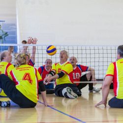 Областной Фестиваль спорта по волейболу сидя среди инвалидов Московской области, посвящённый 30-летию ВОИ
