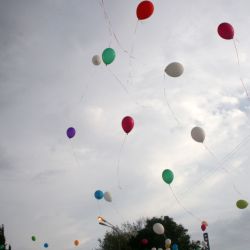 Всероссийский фестиваль спорта инвалидов в Адлере - 2012