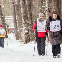 Лыжные гонки - 2015