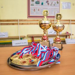 Лыжные гонки - 2016