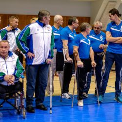 Чемпионат России по волейболу сидя 2016