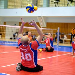 Чемпионат России по волейболу сидя 2016