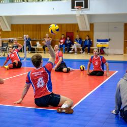 Чемпионат России по волейболу сидя 2016