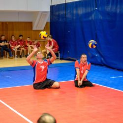 Чемпионат России по волейболу сидя 2016