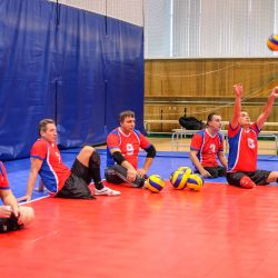 Чемпионат России по волейболу сидя 2016