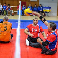 Чемпионат России по волейболу сидя 2016