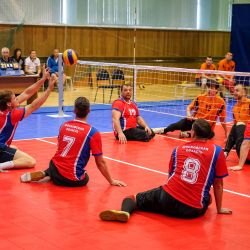 Чемпионат России по волейболу сидя 2016