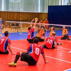 Чемпионат России по волейболу сидя 2016