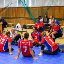 Чемпионат России по волейболу сидя 2016