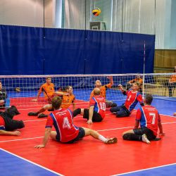 Чемпионат России по волейболу сидя 2016