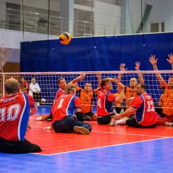 Чемпионат России по волейболу сидя 2016