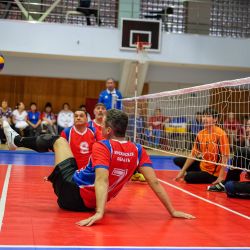 Чемпионат России по волейболу сидя 2016