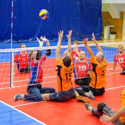 Чемпионат России по волейболу сидя 2016