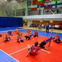 Чемпионат России по волейболу сидя 2016