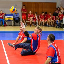 Чемпионат России по волейболу сидя 2016