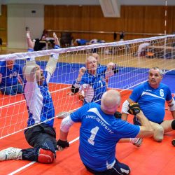 Чемпионат России по волейболу сидя 2016