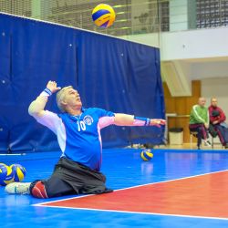 Чемпионат России по волейболу сидя 2016